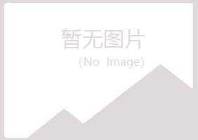 扎兰屯山柏律师有限公司